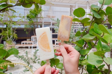 Popsicles at Norden Ruder